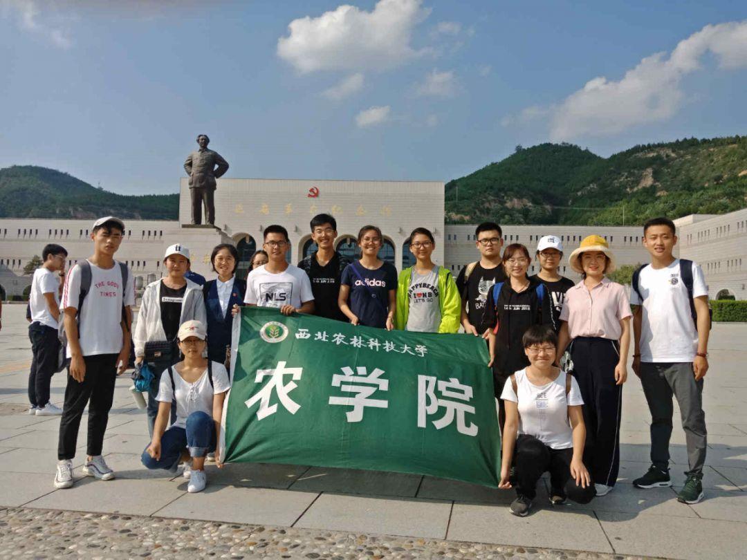 两只月的柯基吃多少狗粮合适呢？游戏画面